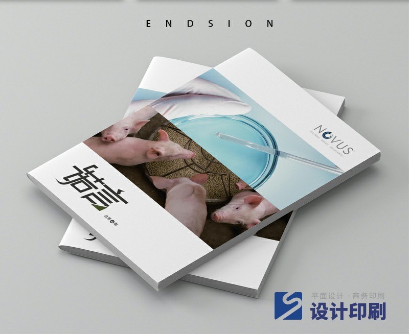 公司內(nèi)刊宣傳畫冊設(shè)計(jì)案例
