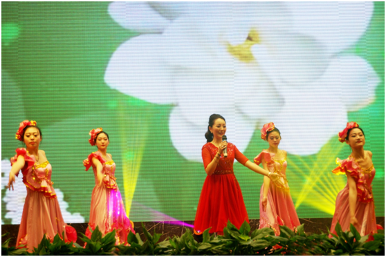 虎豹集團(tuán)2016年年會(huì) 虎豹集團(tuán)2016年年會(huì)